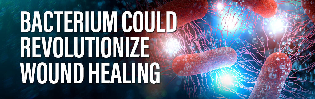 Bacterium Could Revolutionize Wound Healing